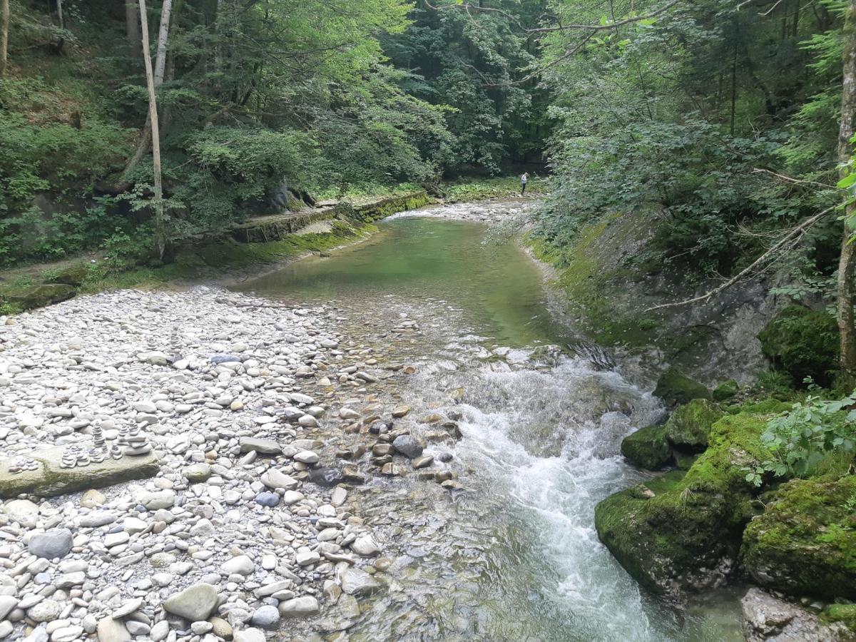Gaestehaus Aemisegg Sankt Peterzell Εξωτερικό φωτογραφία